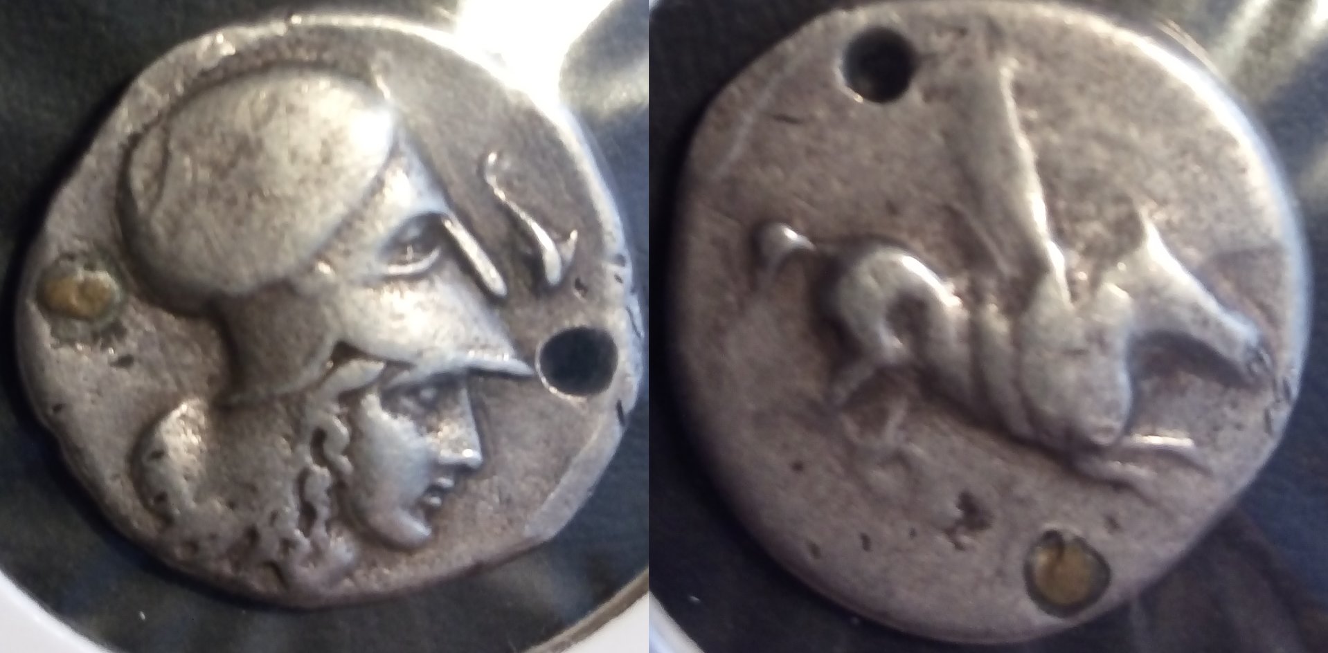 stater.jpg