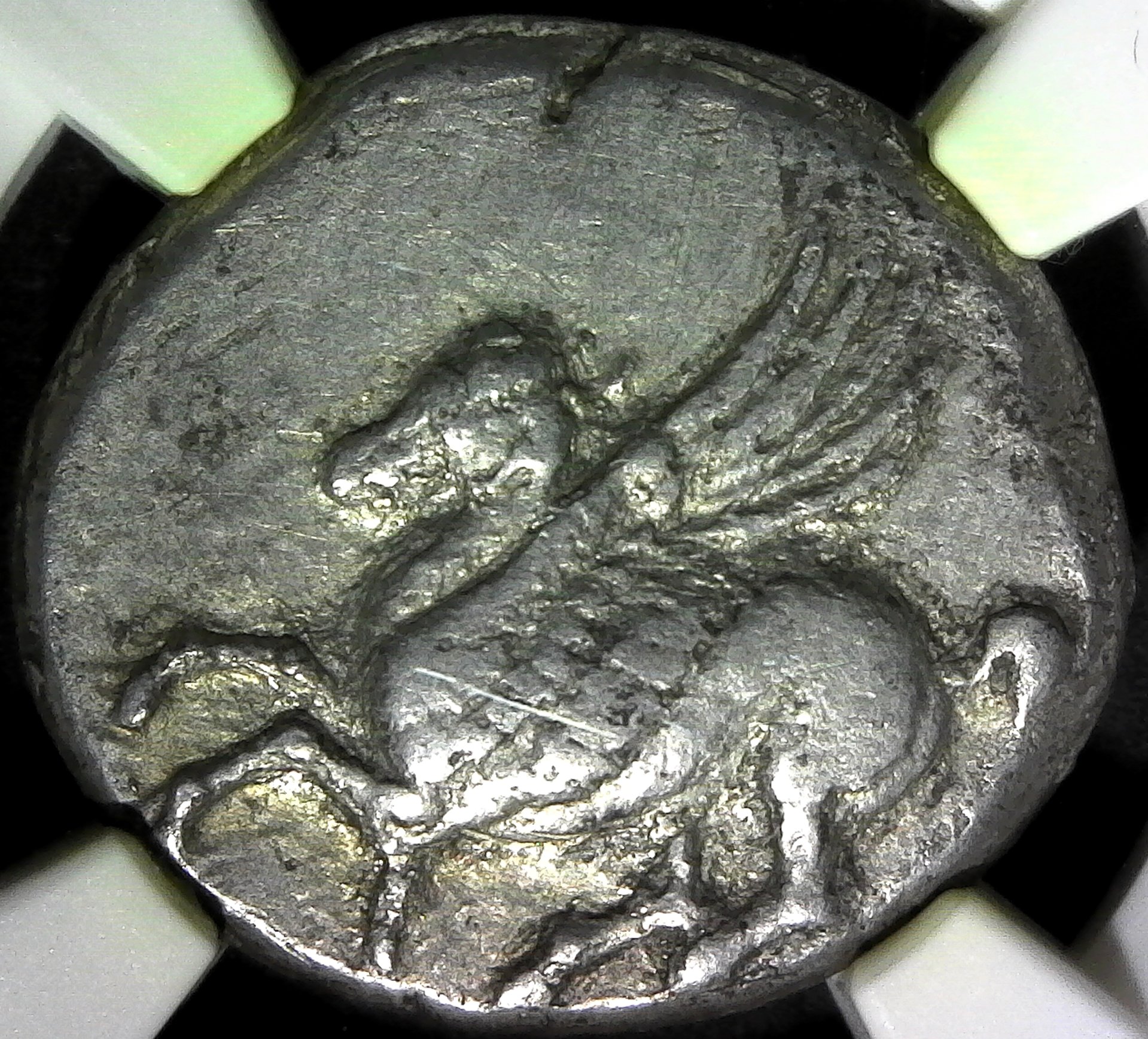 Stater rev.jpg