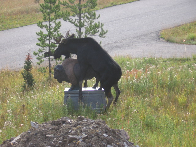 Statue4.jpg