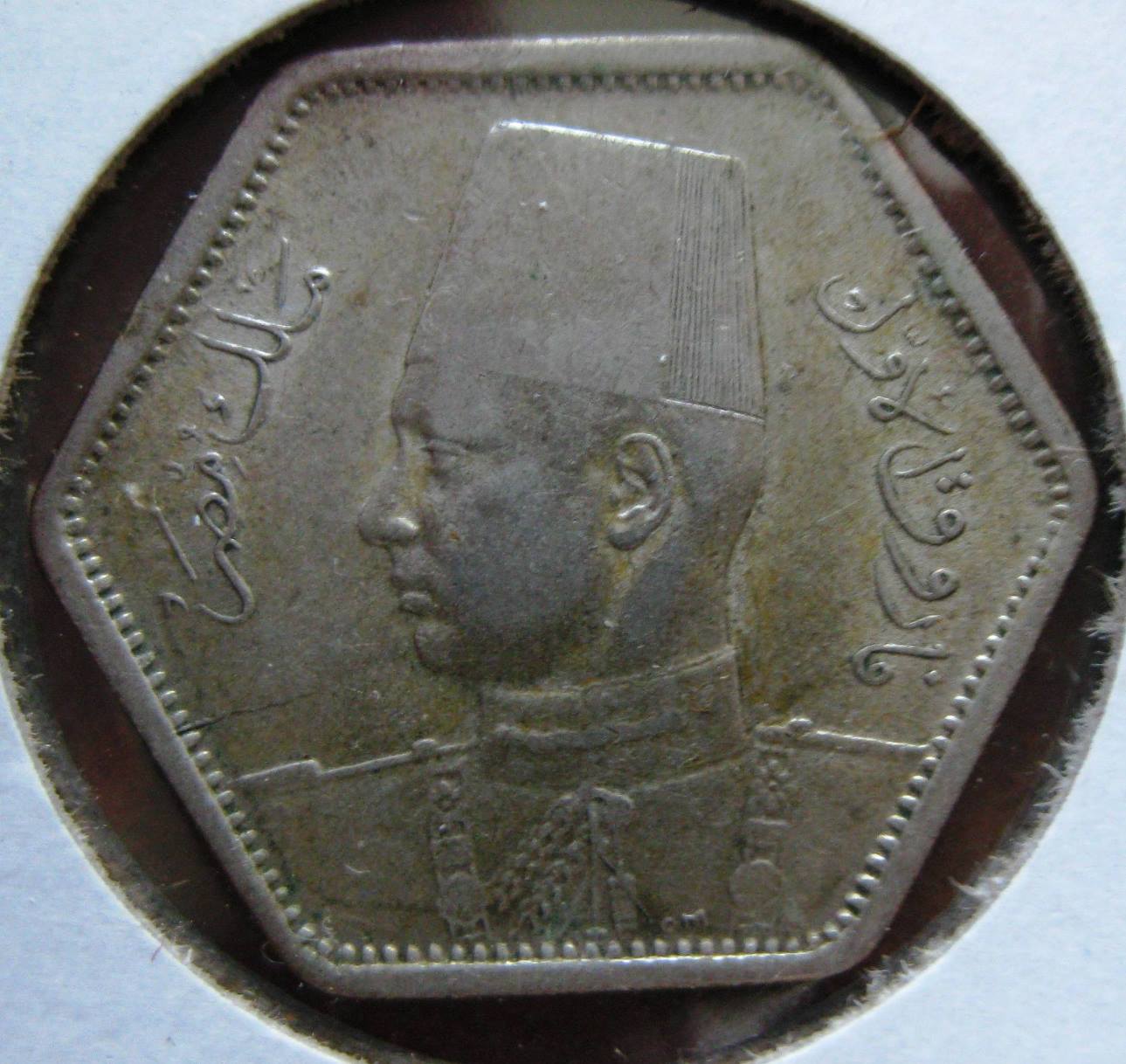 STEGY001#1.JPG