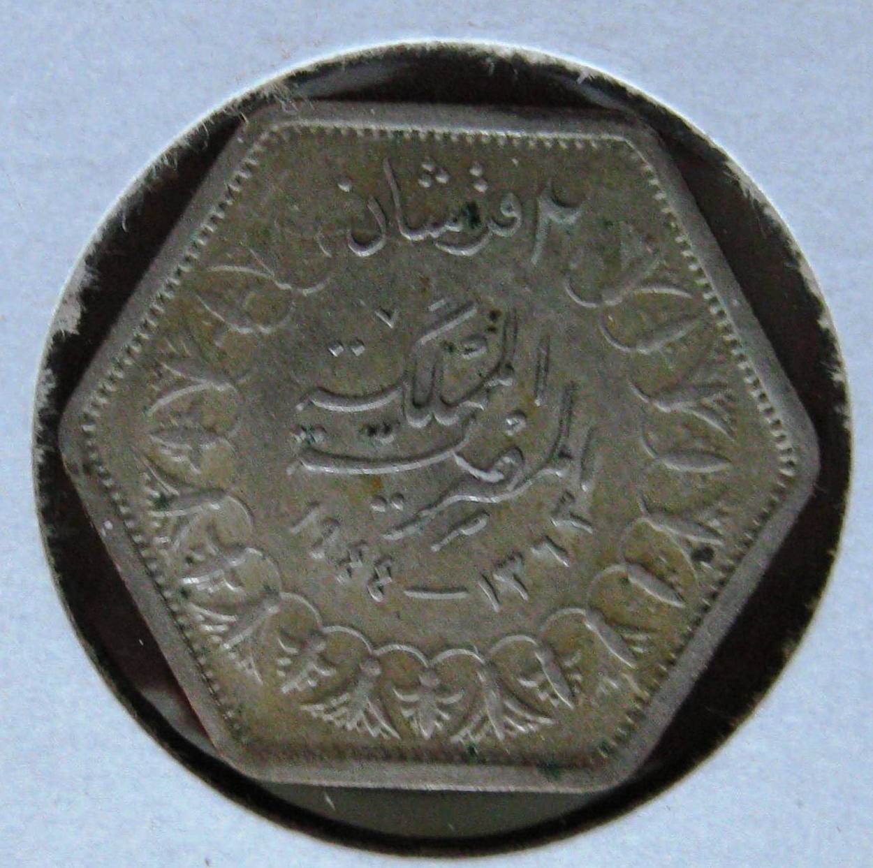 STEGY001#2.JPG