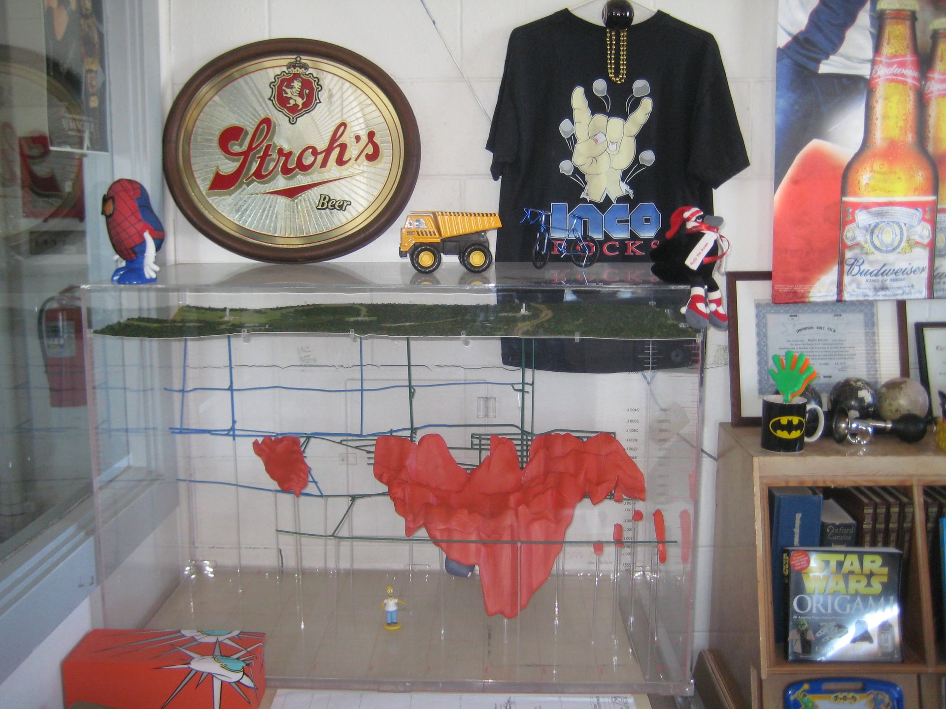 Steve Office 1.JPG