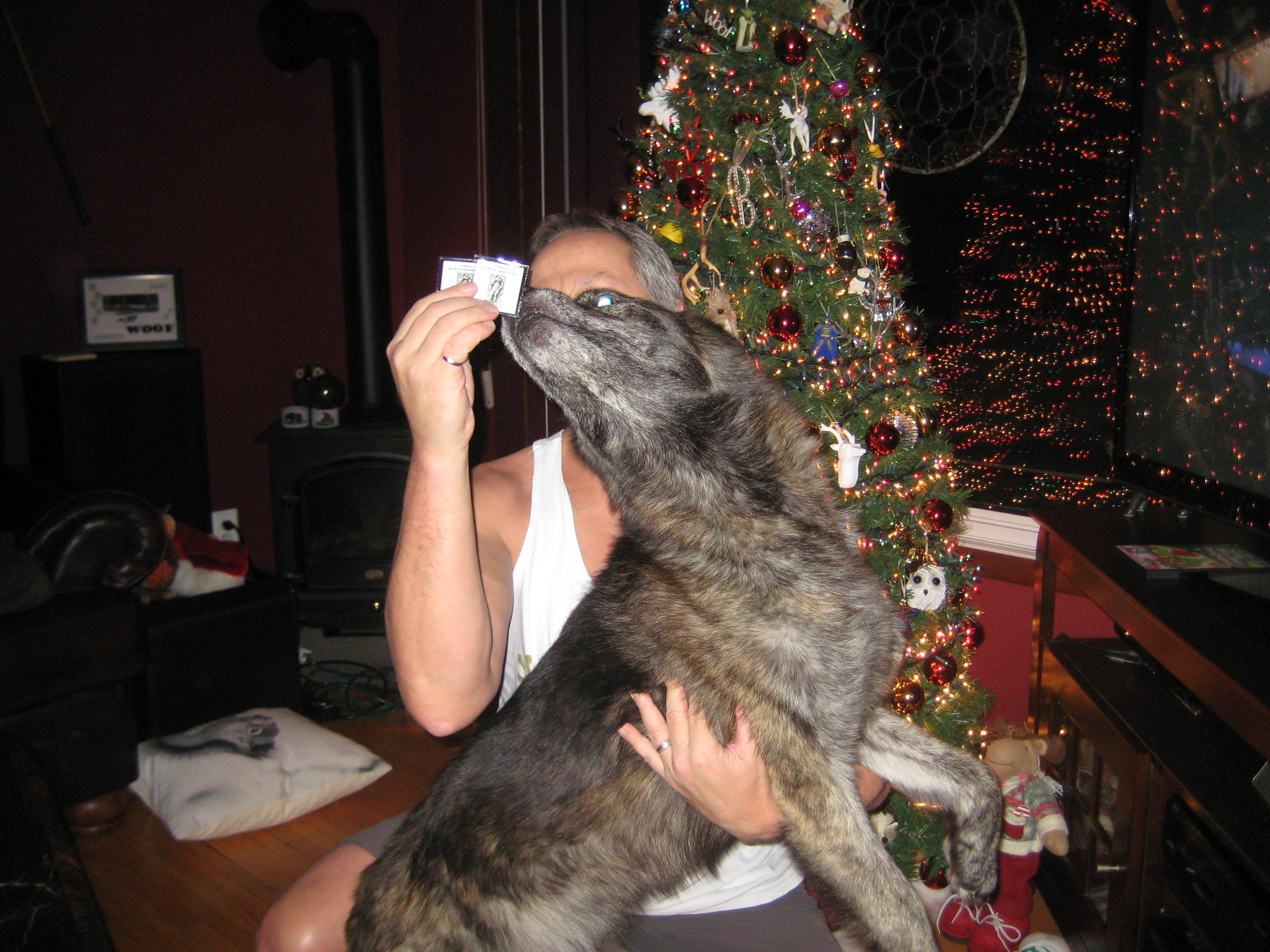 Steve santa.jpg