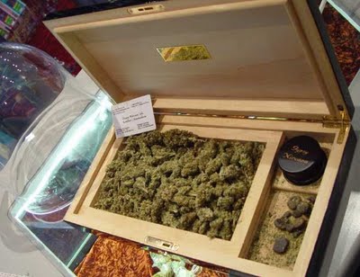 stevex6 coin storage cabinet hoot.jpg