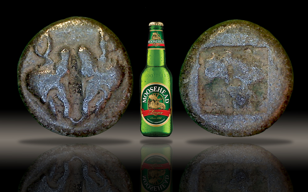 Stevex6-MooseheadTemplate_edited-2.jpg