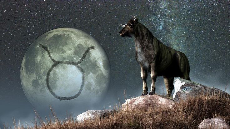 stevex6_2_horoscope7.jpg