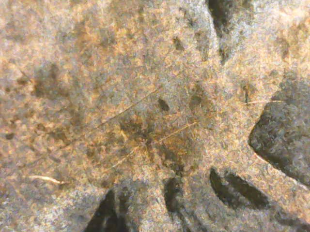 Still001.jpg