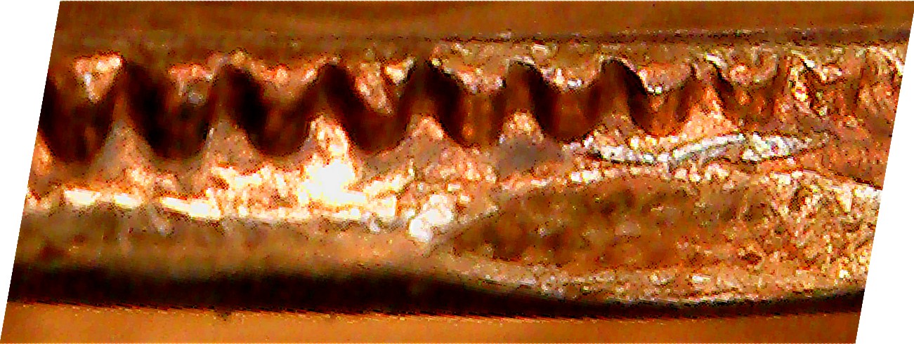 Still1358.1.jpg