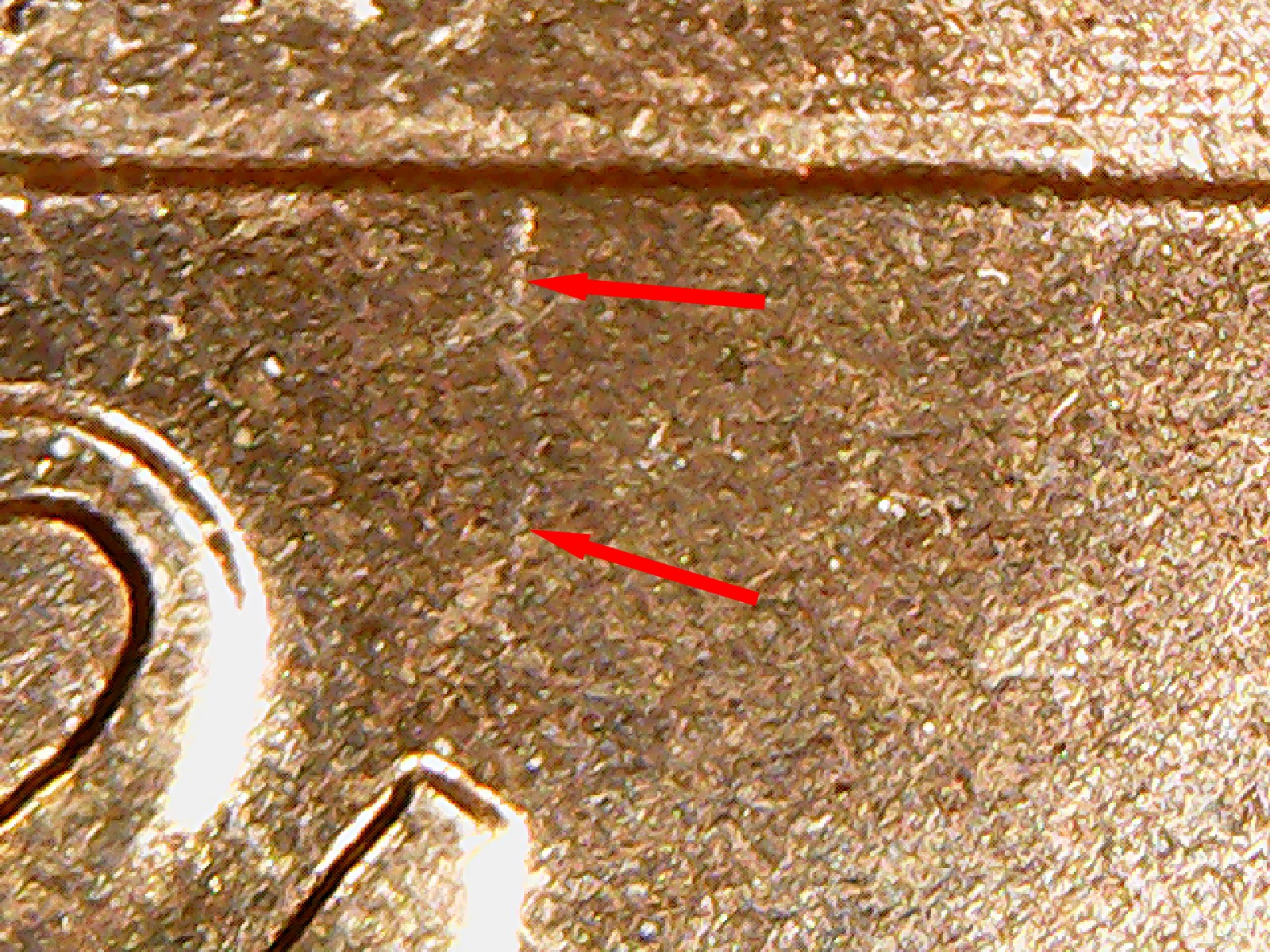 Still1558.1.jpg