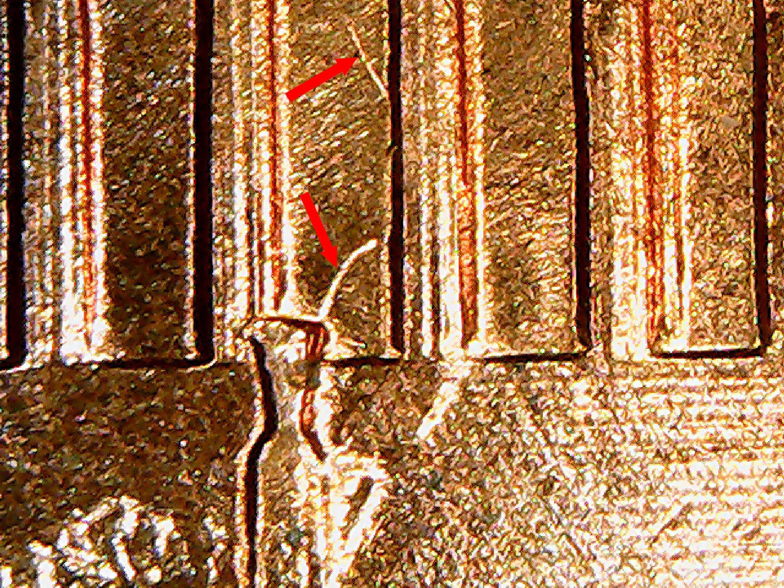 Still1561.1.jpg