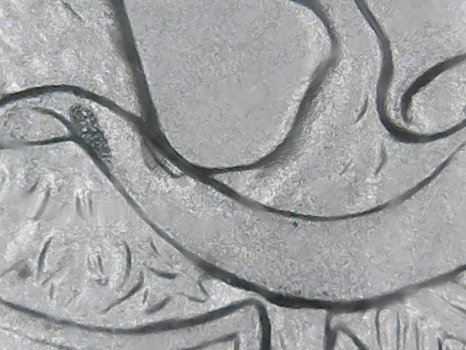 Still2003.jpg