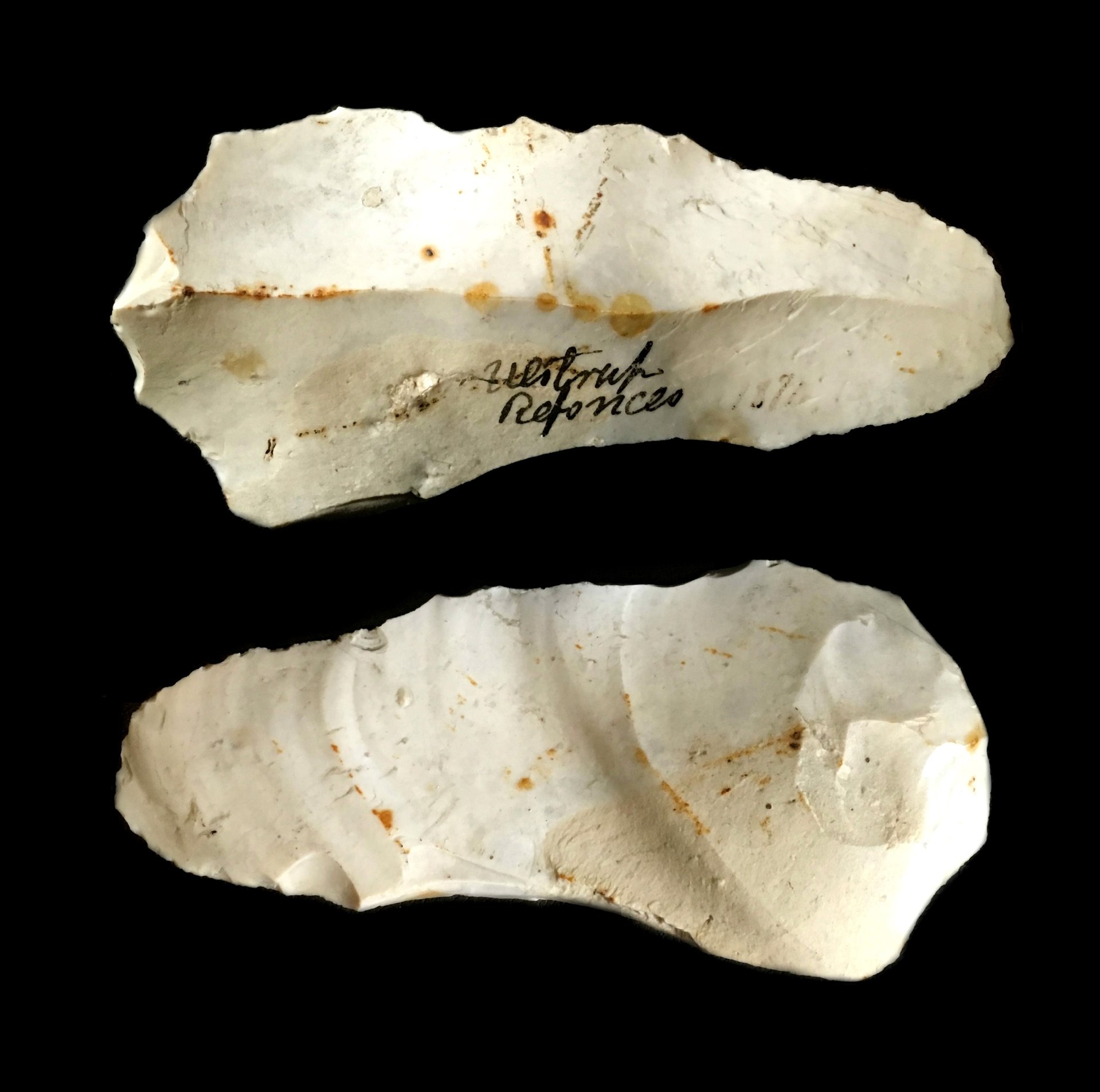 stoneage1.jpg