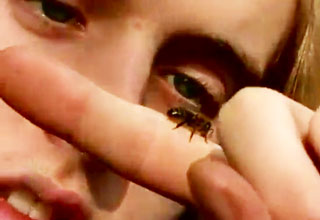 stoned bee.jpg