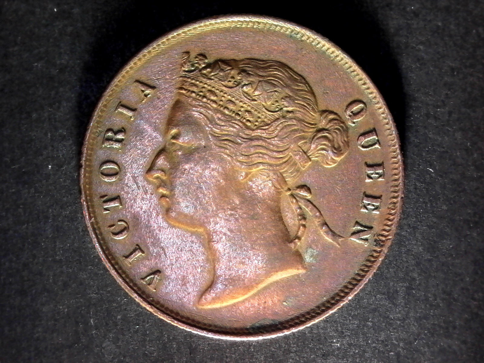 Straits settlements One cent 1897 rev A.jpg