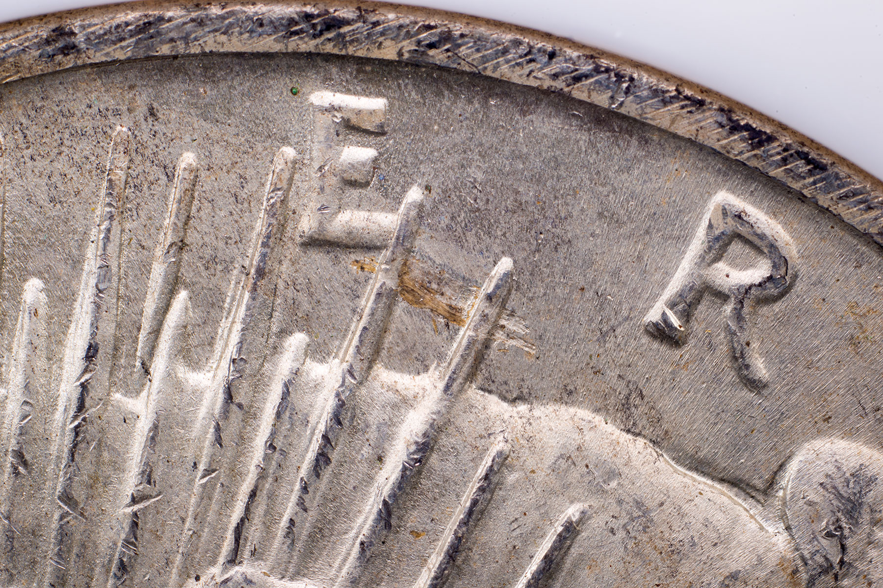Strike-Through-Detail.jpg