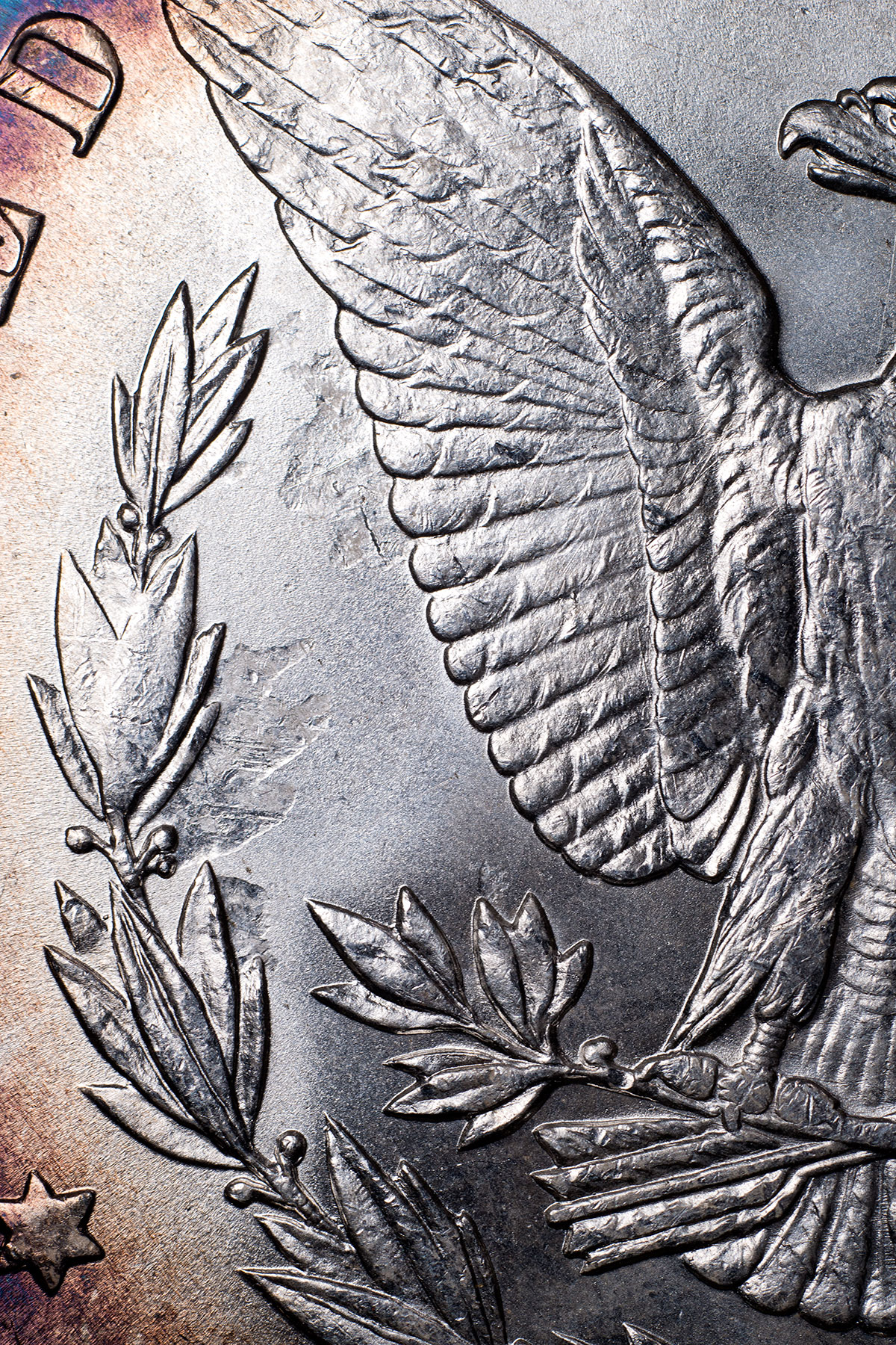 Struck-Through-Detail.jpg