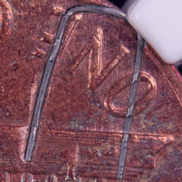 StruckInStaple-CloseUp.jpg