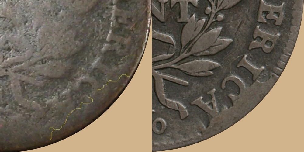 Subject Close up-horz.jpg