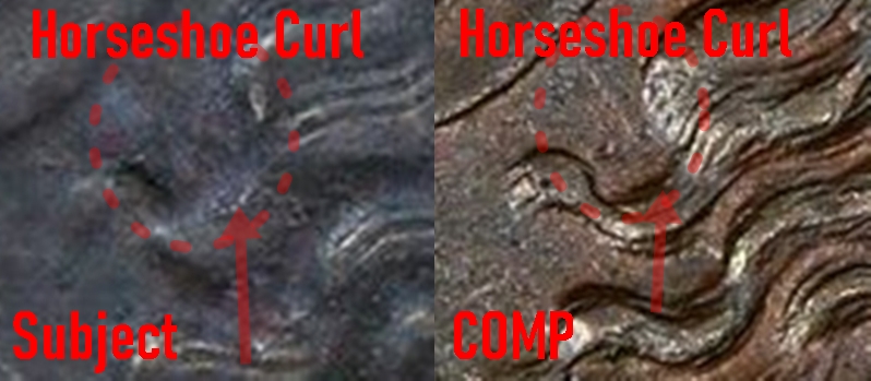 Subject-horz.jpg
