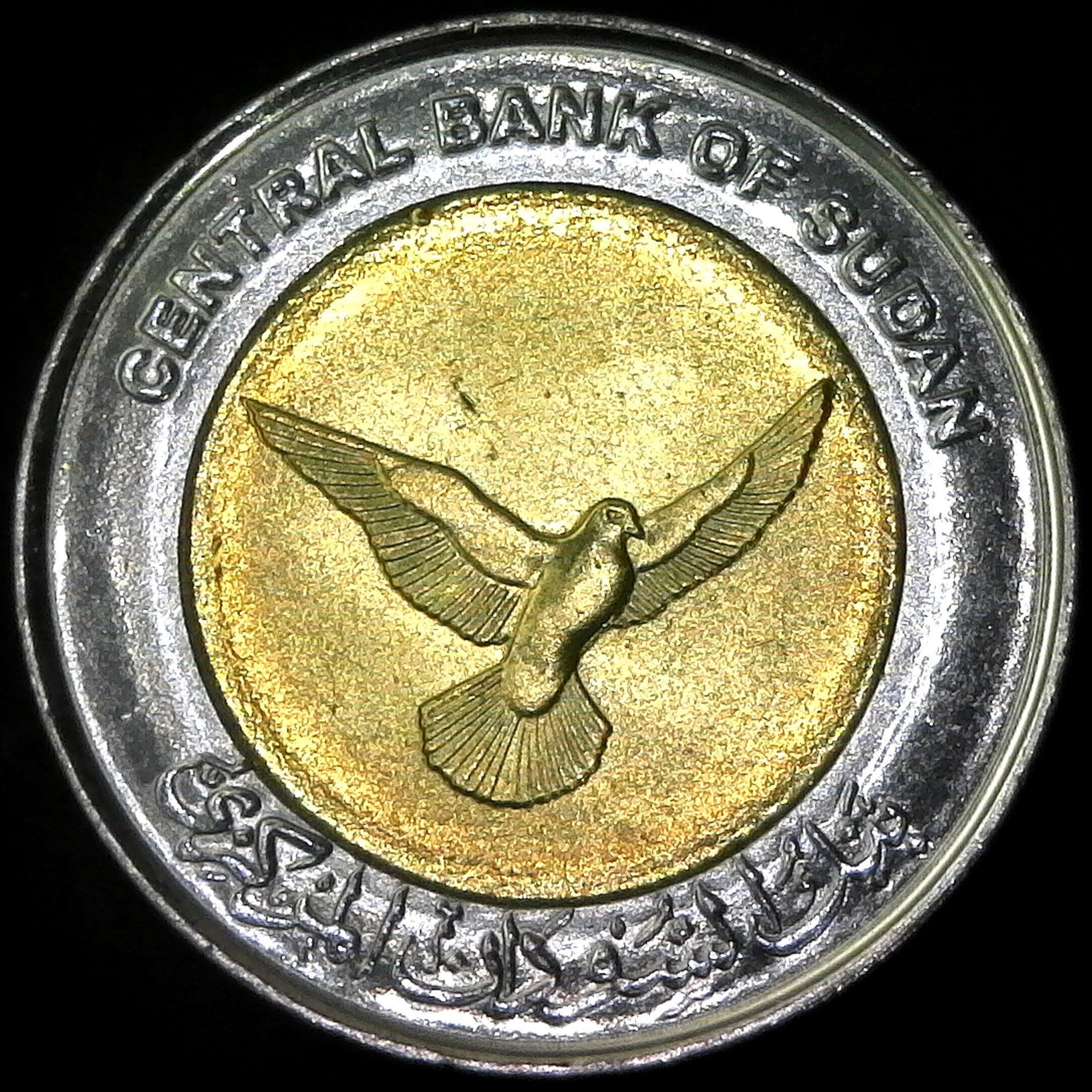 Sudan 50 Piastres 2006 obverse.jpg