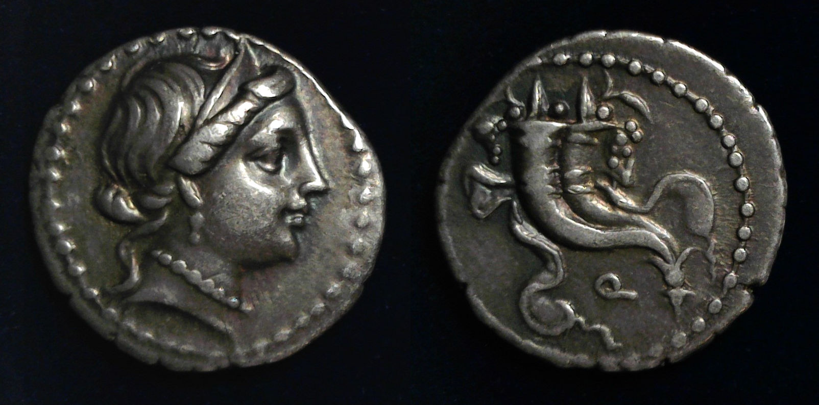 Sulla Cornelia.jpg