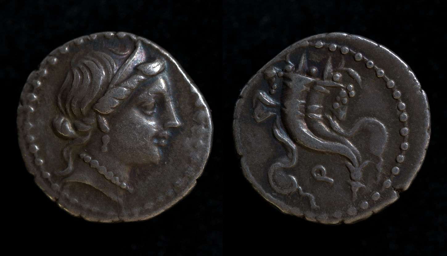 Sulla Cornucopia.jpg