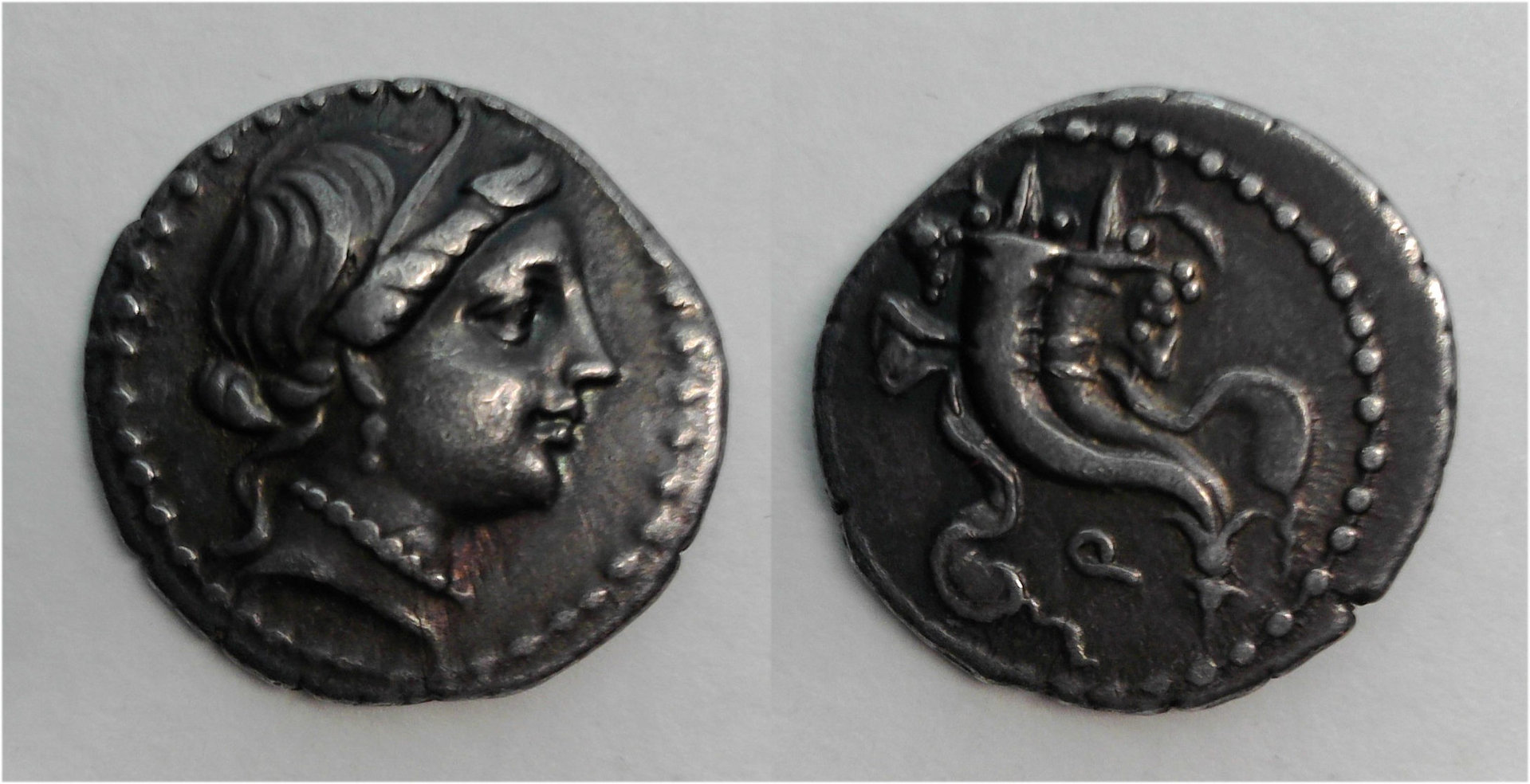 Sulla Denarius.jpg