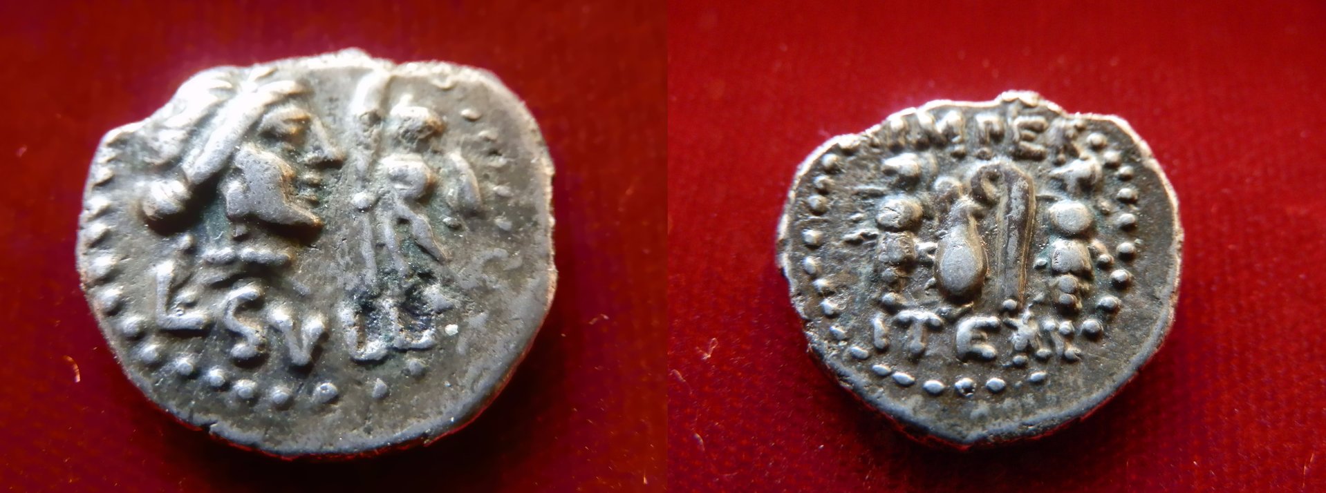 Sulla denaroius new.jpeg
