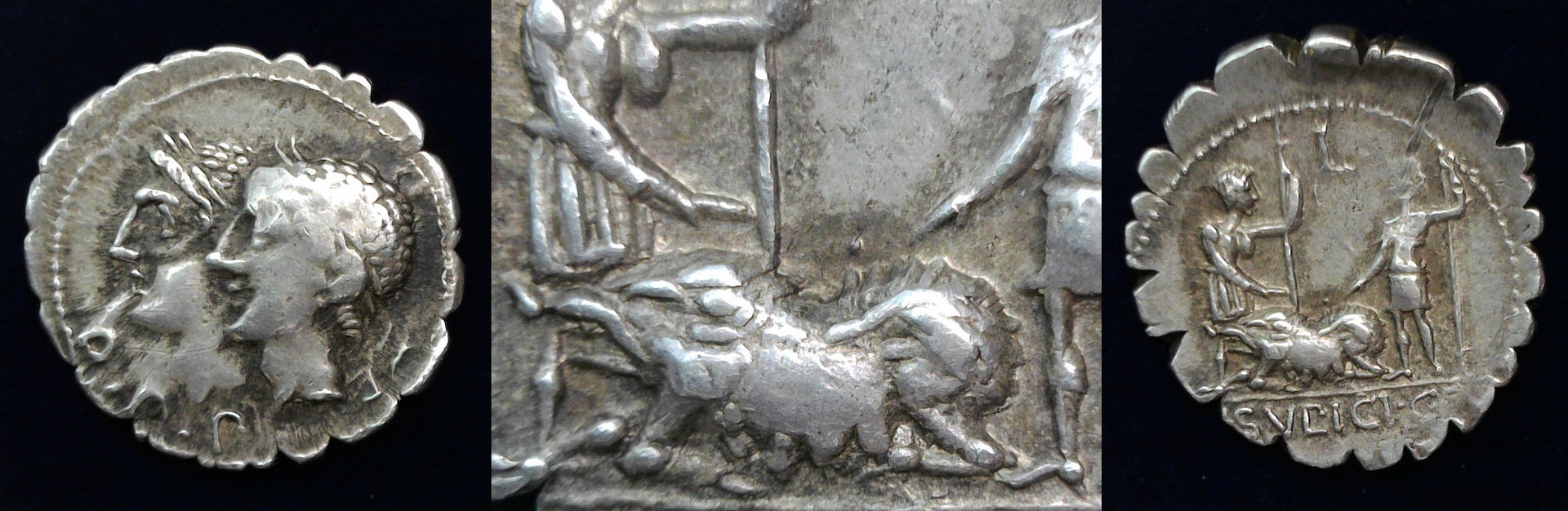 Sulpicius Denarius.jpg