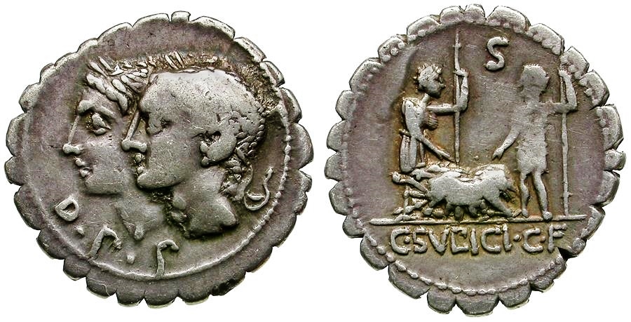 Sulpicius Galba - Sow 2.jpg