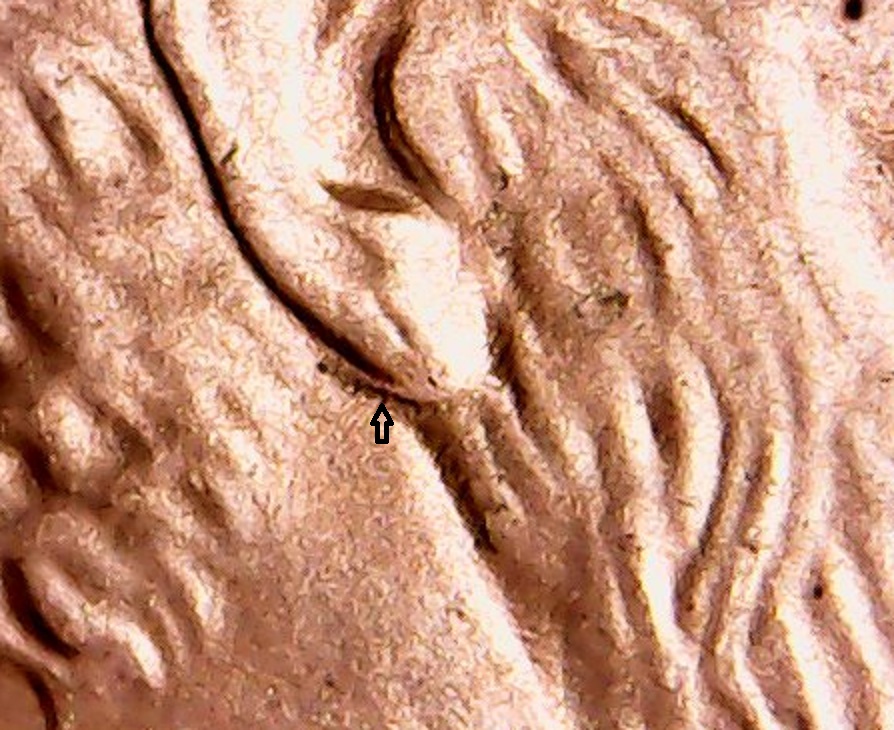 Sun Jul 08 14-06-07.jpg