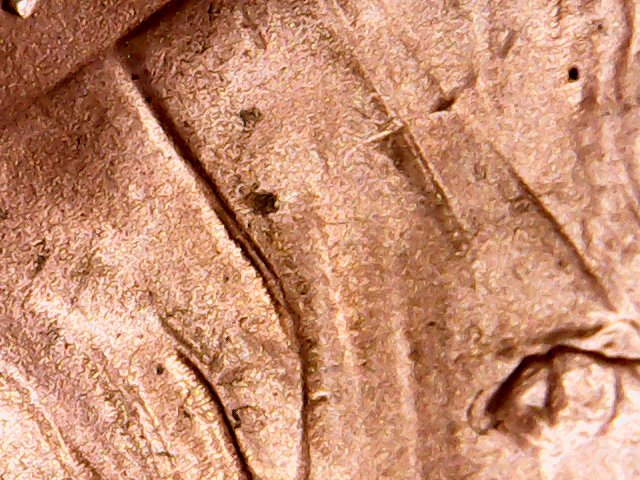Sun Jul 08 14-08-35.jpg