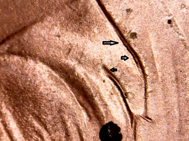 Sun Jul 08 14-09-47.jpg