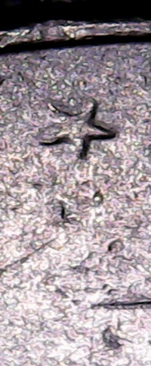 Sun Mar 06 10-33-35-1-1.jpg