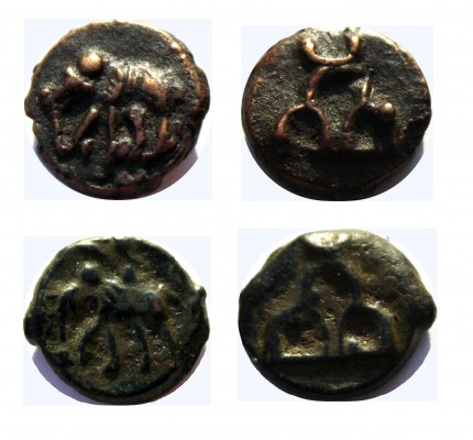 sunga elephant.jpg