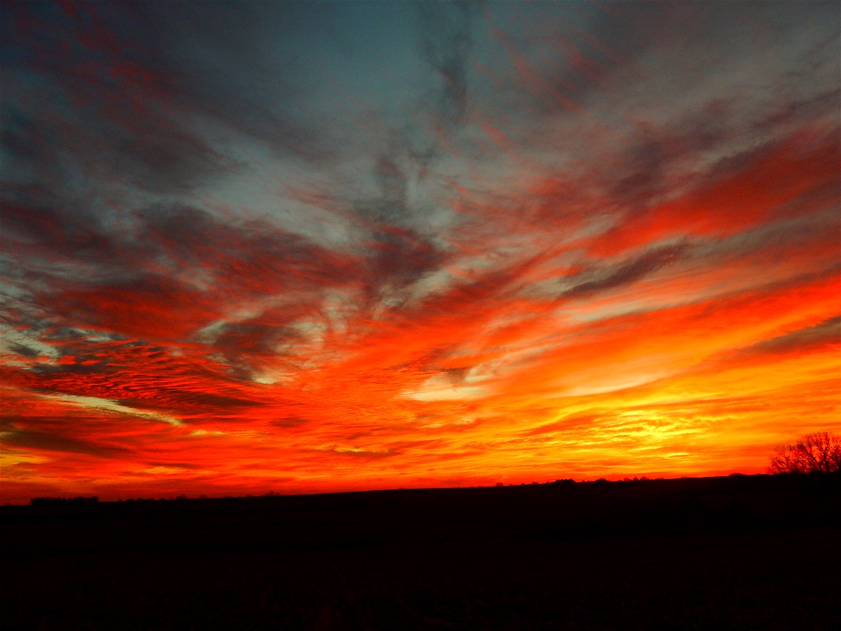 Sunrise 11-20-16 from Deer Blind.jpg