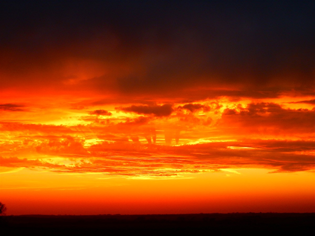 Sunset 11-17-16 from Deer Blind #3.jpg