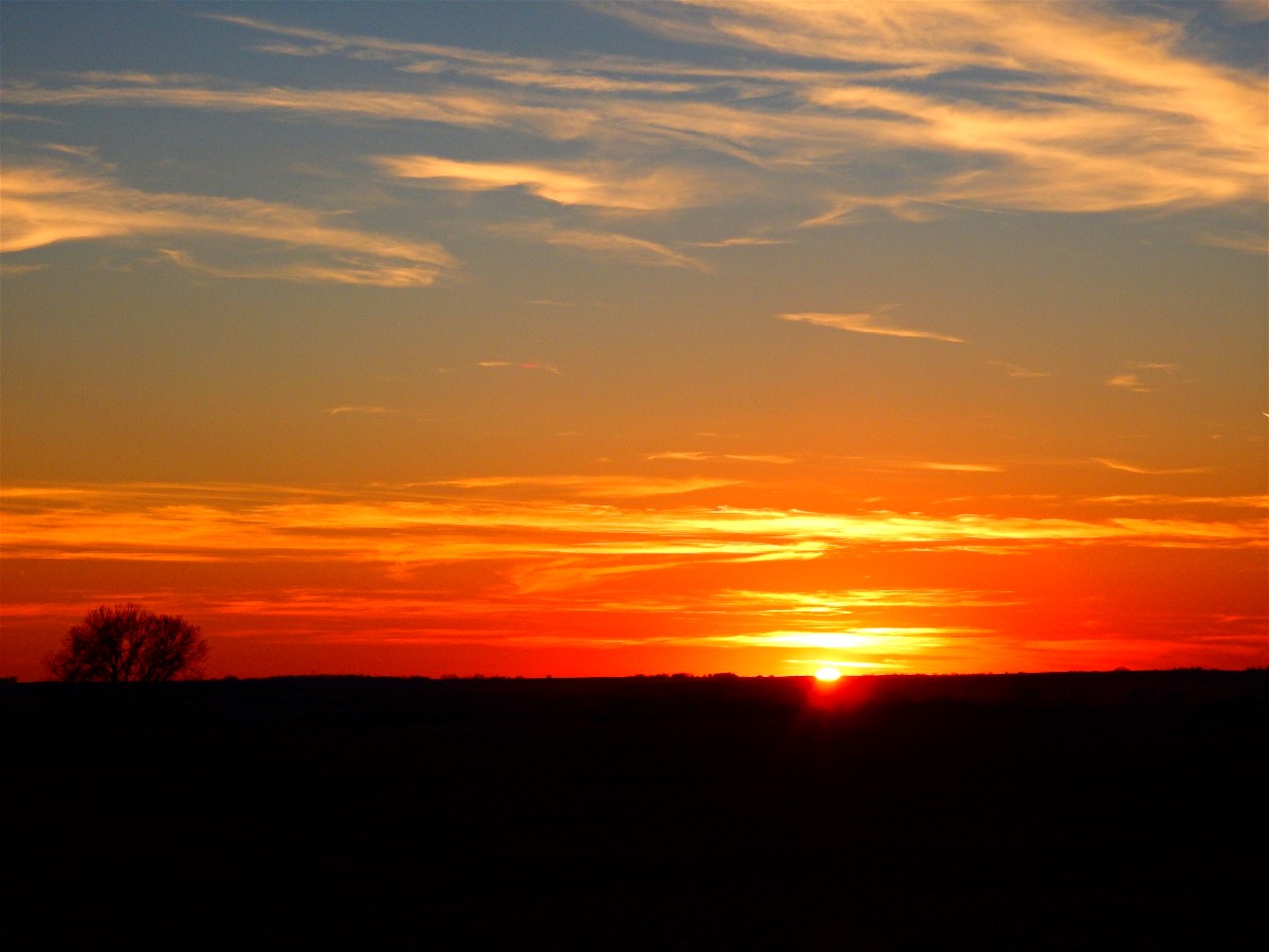 Sunset from Deer Blind 11-19-16.jpg