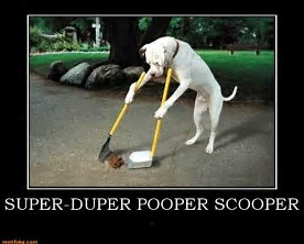 Super Duper Pooper Scooper.png