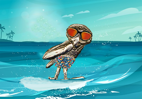 Surfing owl 6-17-22.jpg