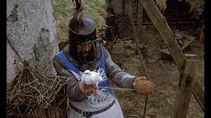 swallow carring coconut.jpg