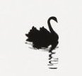 swan.jpg
