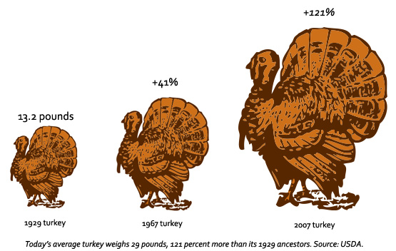 sweet_thanksgivingfin_2.jpg