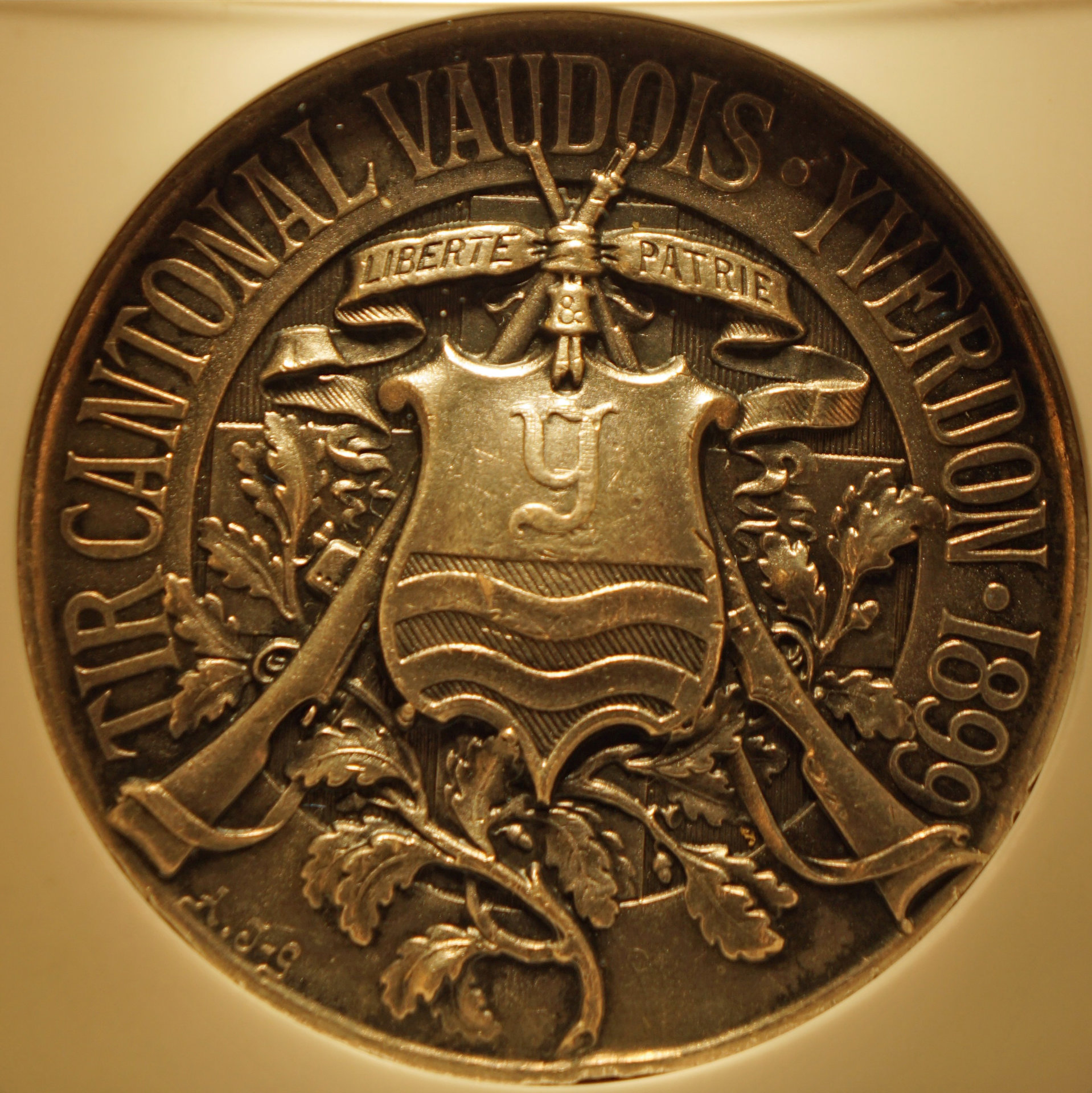 SwiMedal189904.jpg