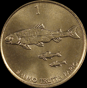 swimming fish.gif