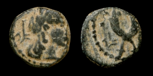 sylleaus500.jpg