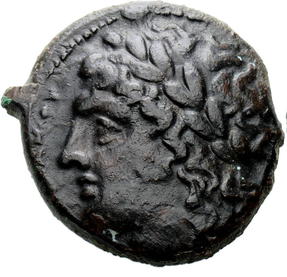syr eagle a.jpg
