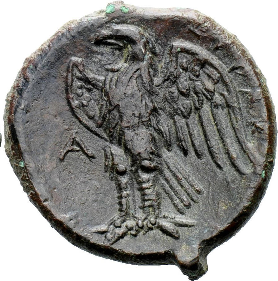 syr eagle b.jpg