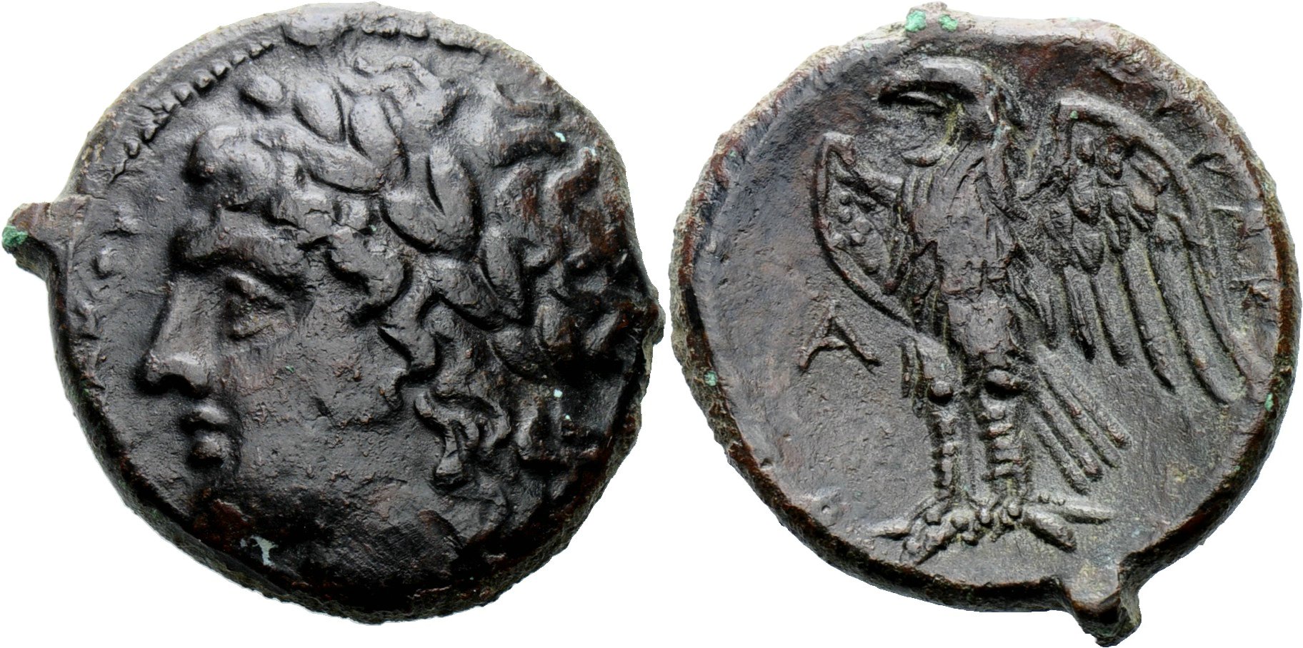 syr eagle.jpg