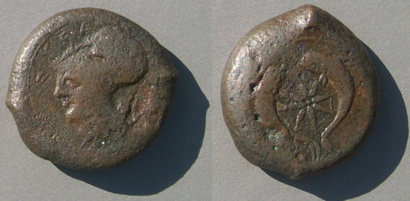SyracusDolphins800.jpg